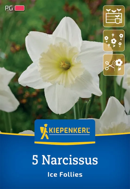KIEPENKERL Blumenzwiebel Großkronige Narzisse 'Ice Folies', 5 Stück - Gallerie Bild 1